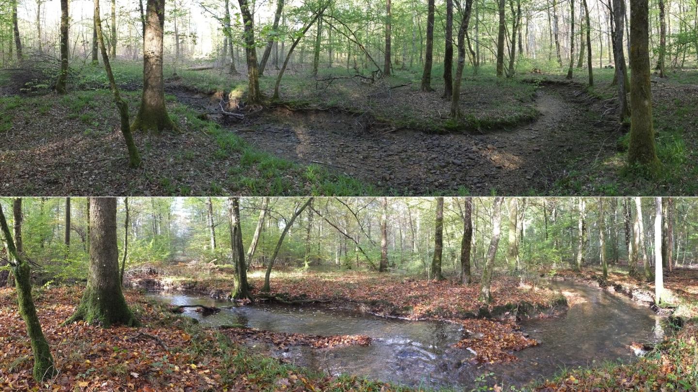 Two Contrasting Hydrological Phases of the Clauge River, France