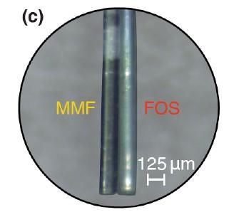 Microendoscope