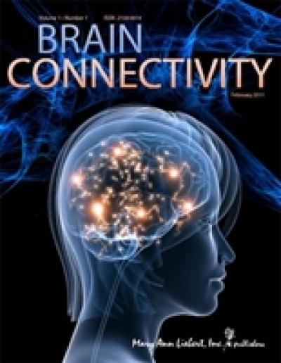<i>Brain Connectivity</i>
