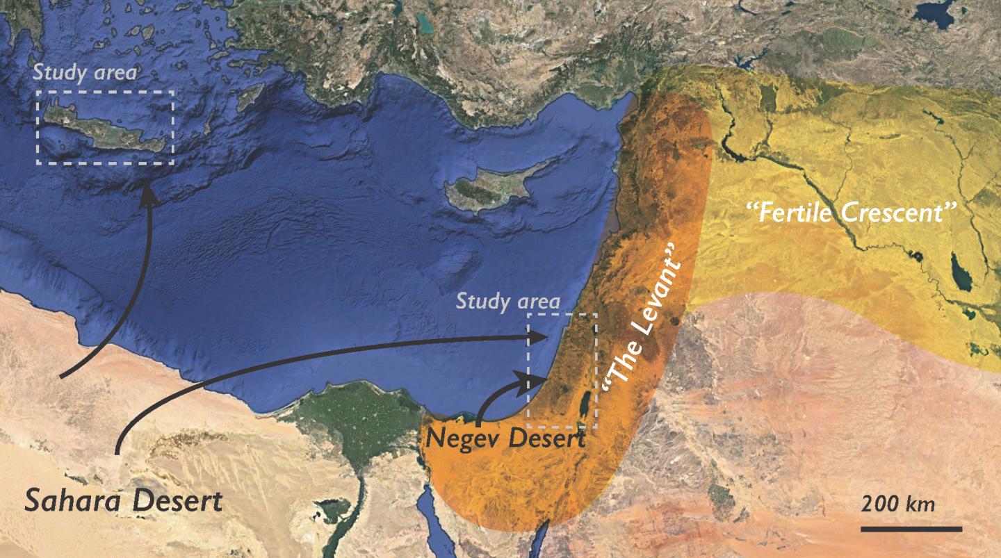 negev desert map location