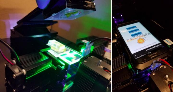 Cellphone-based Protein Analysis