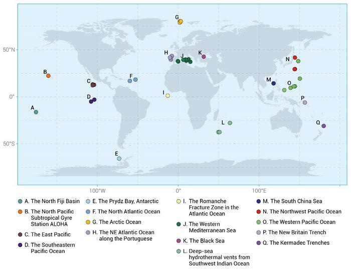 Sampling stations of viromes in the deep-sea hadal zones