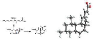 Synthesis scheme (left) and molecular structure (right) of tanzawaic acid B.