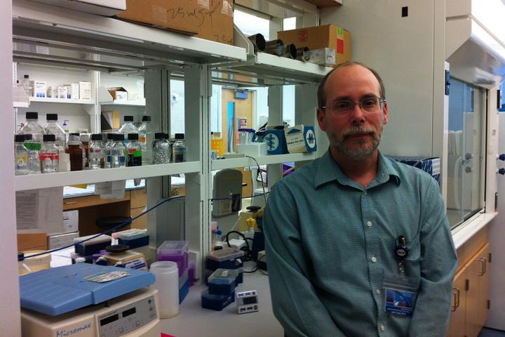 John Tavis, Ph.D., Saint Louis University 