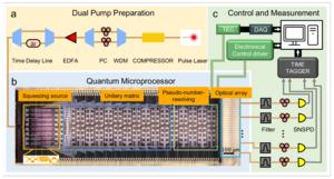 Schematic of a quantum microprocessor chip and experimental setup