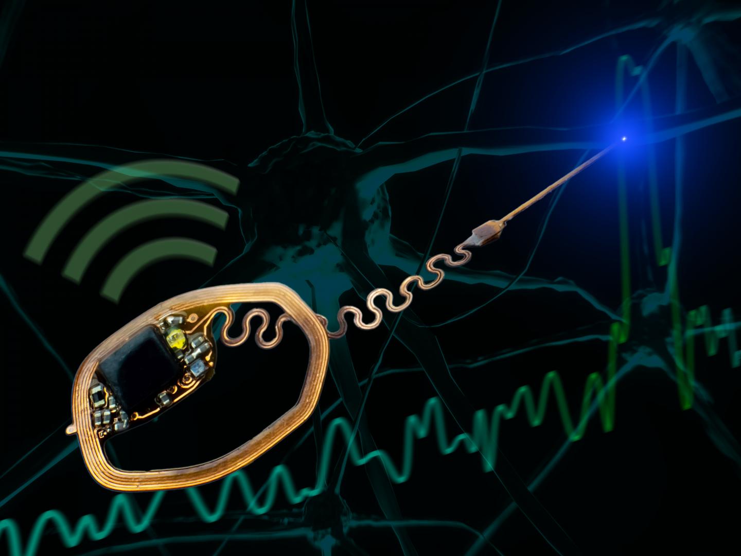 Capturing Neuron Activity