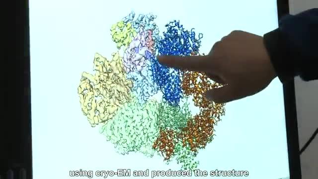 Scientists Visualize Structure of Key DNA Repair Component with Near-Atomic Resolution