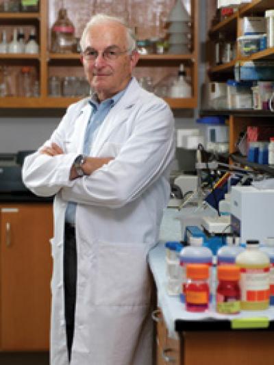 Don Stein, Emory University
