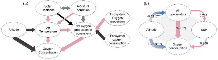 Diagram of the relationship between factors affecting the oxygen concentration