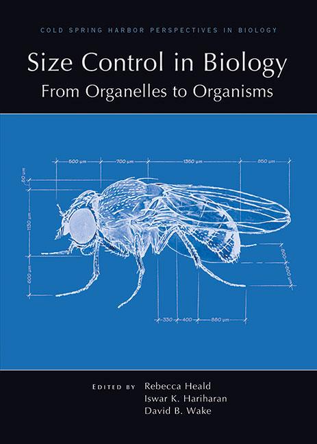 Size Control in Biology: From Organelles to Organisms