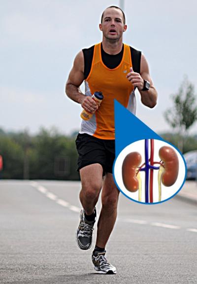 Marathon Runner with Kidneys