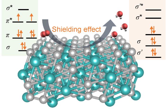 Intrinsic Spin Shielding Effect in Platinum–Rare Earth Alloy Boosts Oxygen Reduction Activity