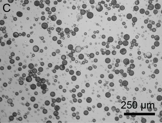 Quantum Dot Technology Invisibly Records Vaccination History on Skin (1 of 6)