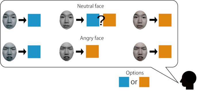 無彩色(灰色)な顔色を「典型色」か「反対色」で選択させると、怒り顔の場合、「典型色」と答えやすかった