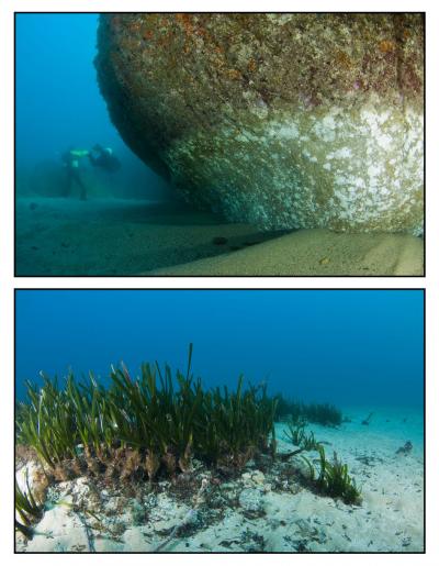 Coastal Storm Impacts