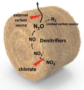 silage emissions concept