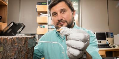 Nadir Erbilgin, University of Alberta