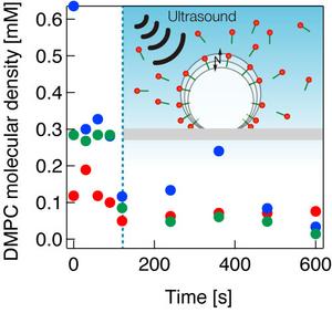 Molecular desorption from a microbubble under ultrasound irradiation.