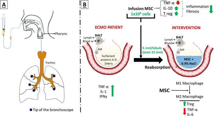 How the CIBA Method Works