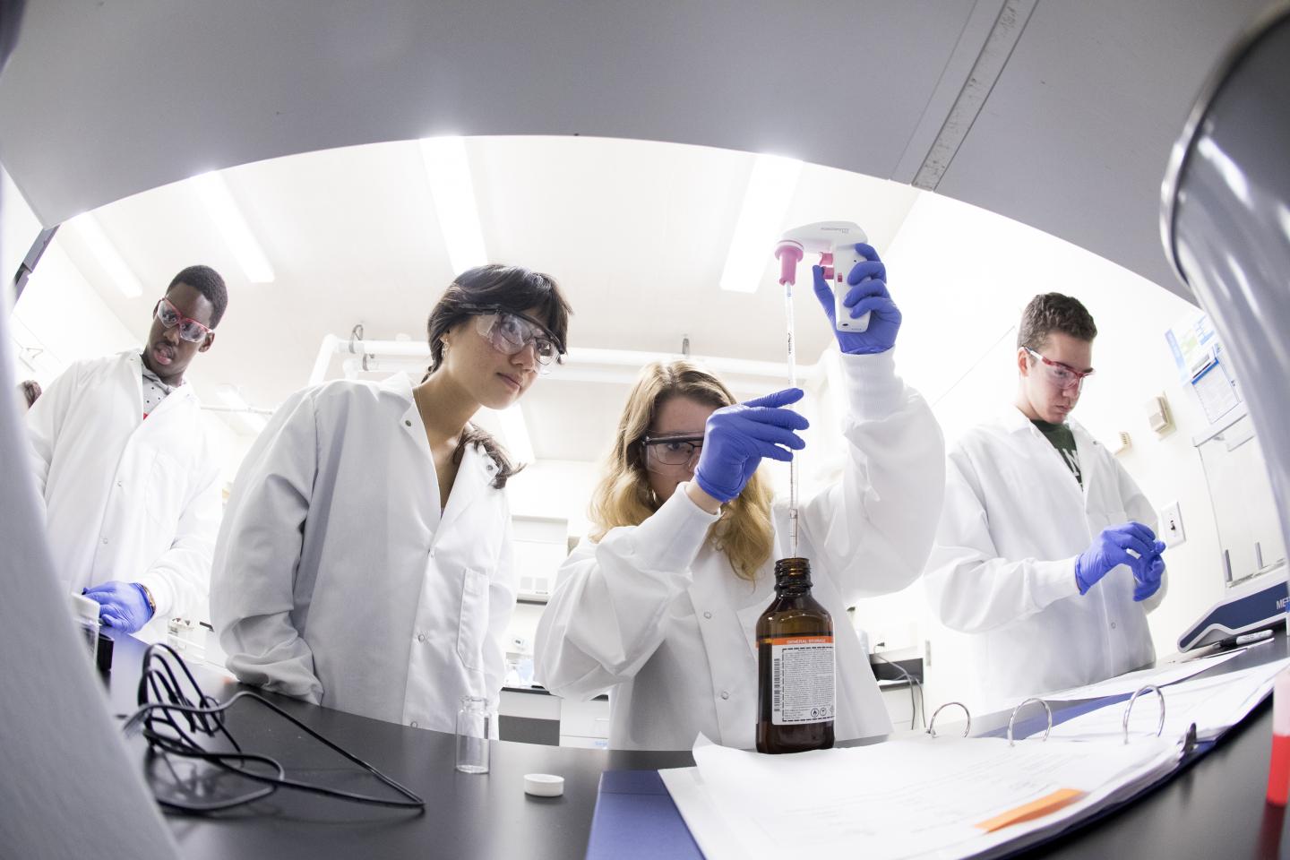 FRI Students Working in a Lab