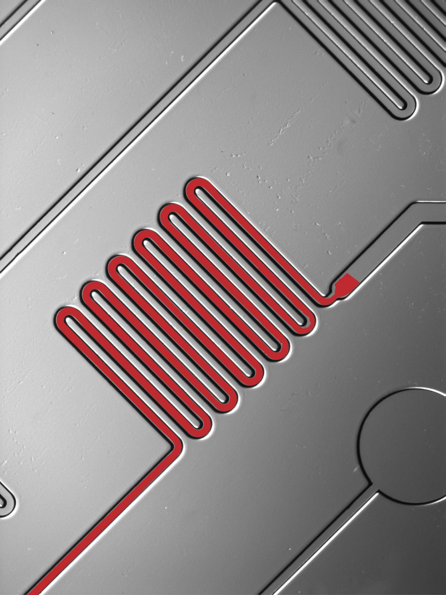 Microfluidic Chip Used to Test for Lyme Disease