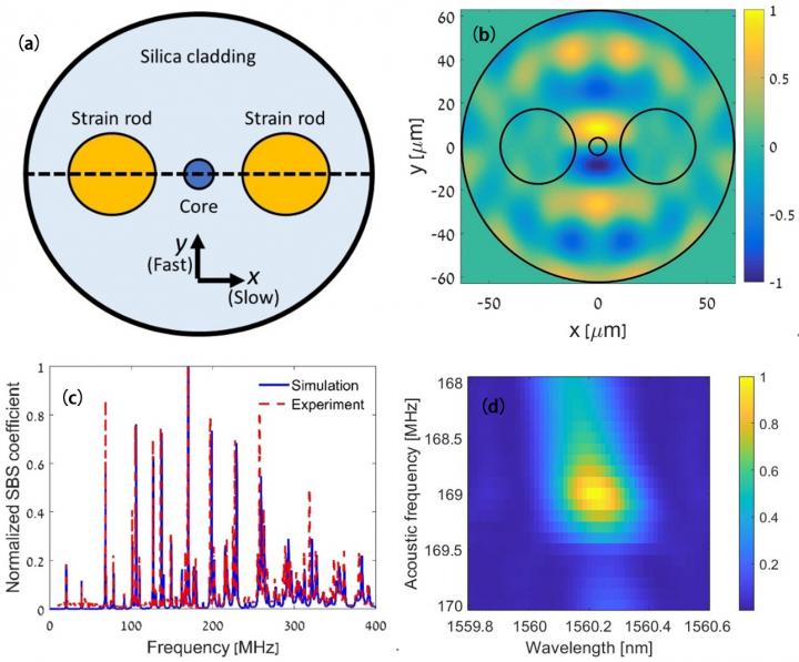 Figure | Light and Ultrasound Interactions in a Panda Fiber