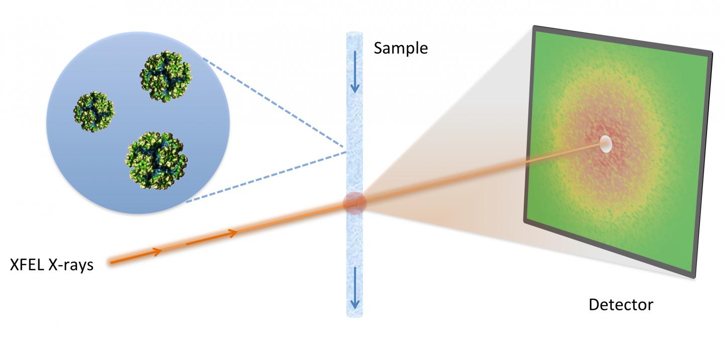 Fluctuation X-ray Scattering (FXS)