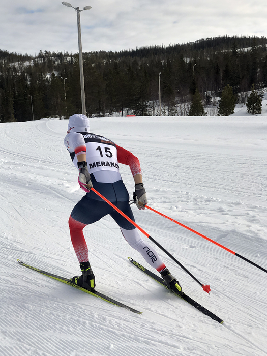 Cross-country skier going across terrain
