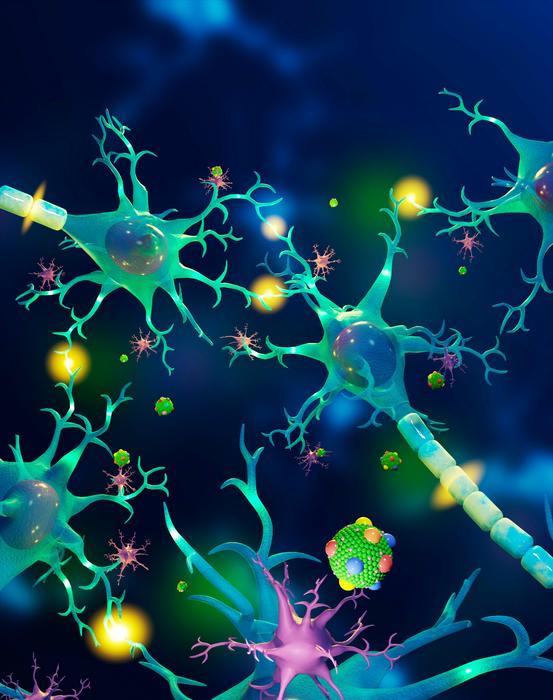 Lipoprotein in central nervous system