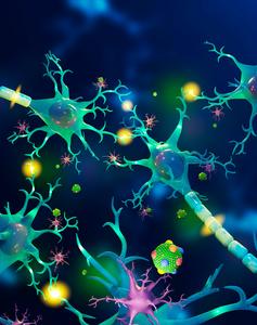 Lipoprotein in central nervous system