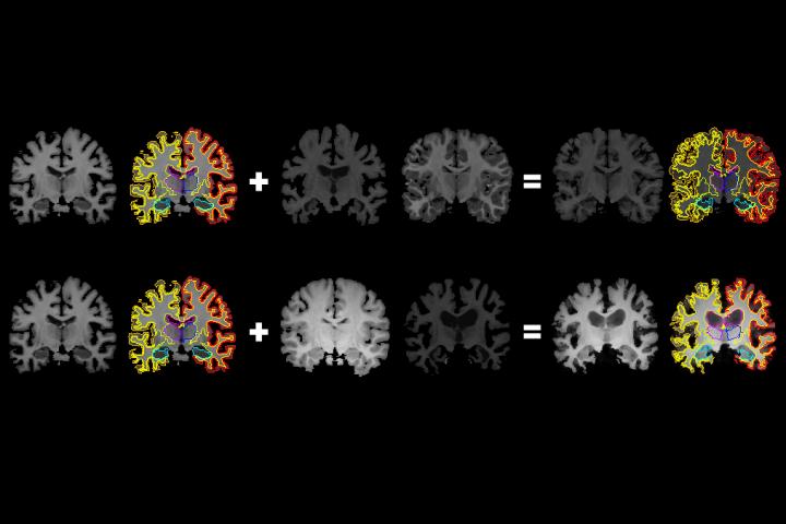 More Information for Medical Artificial Intelligence