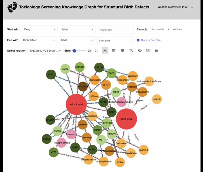 Website that enables users to explore relationships between genes, drugs, and birth defects