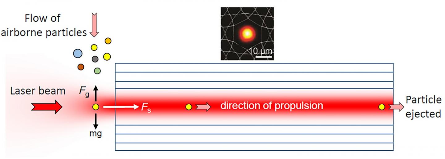 Sketch of the Particle Detector