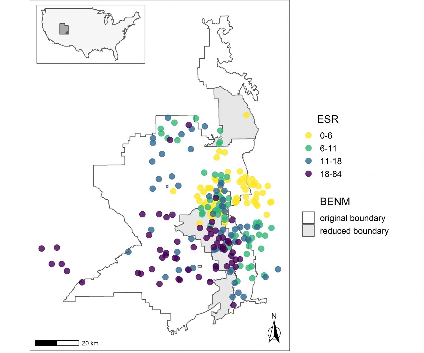 Ethnographic species richness