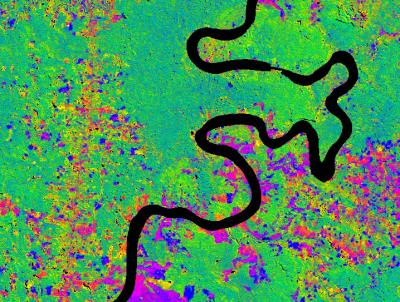 Rain Forest Disturbance in Peru