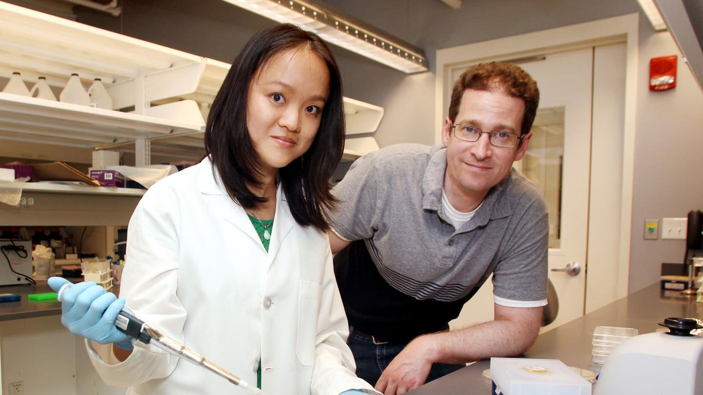 Wendy Mok and Mark Brynildsen, Princeton University