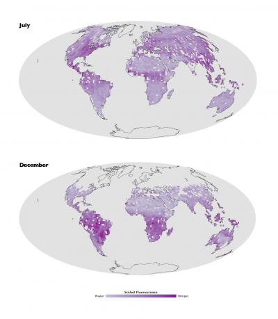 A First-of-a-Kind Global Map of Land Plant Fluorescence