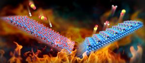 Researchers develop reaction-induced molybdenum carbides for efficient carbon dioxide conversion