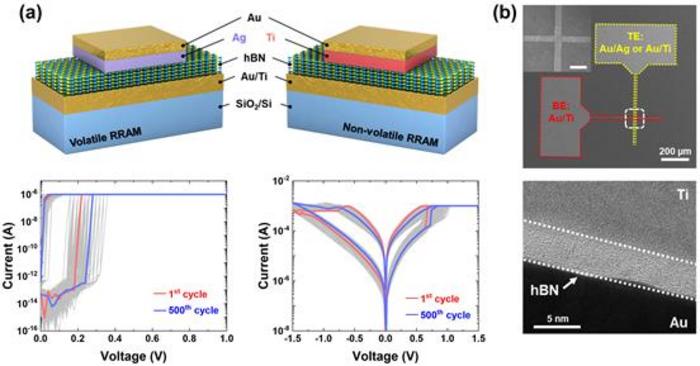 Two-dimensional material-based volatile and nonvolatile memory devices