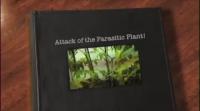 Attack of the Parasitic Plants!