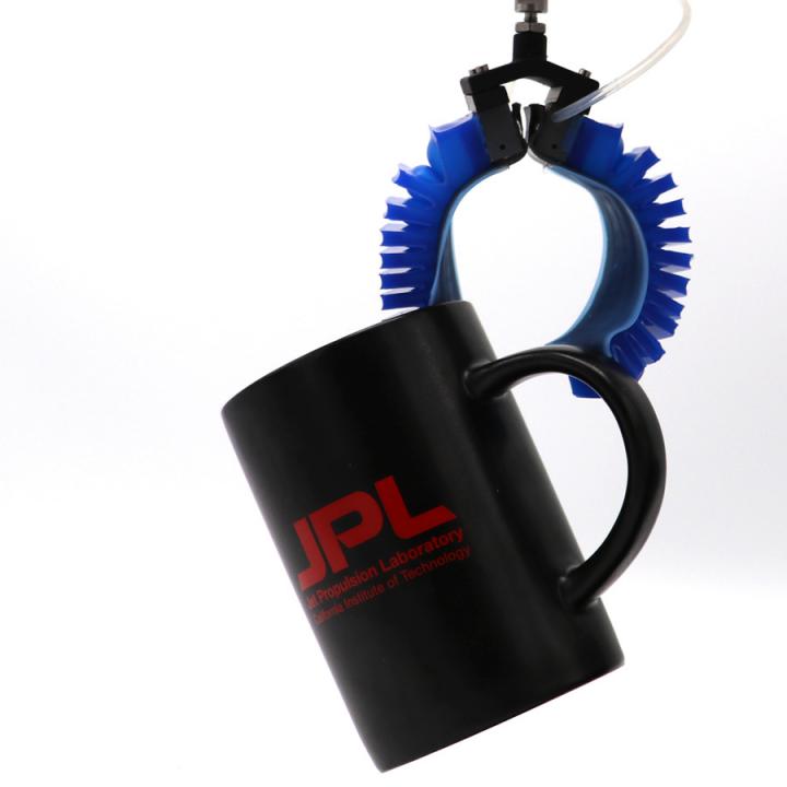 Gecko Gripper and Mug