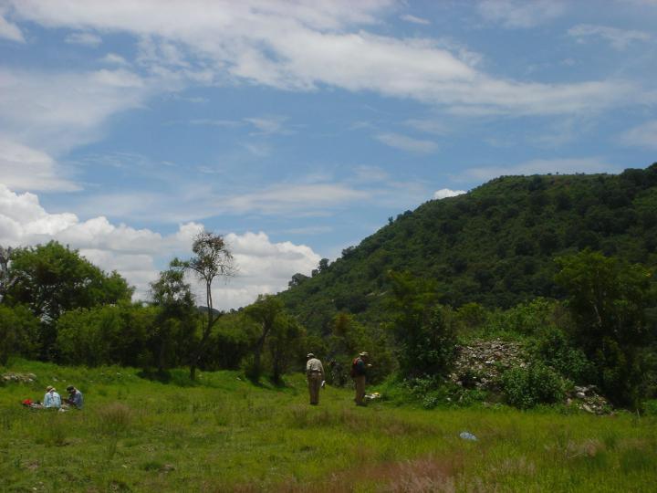 Collecting Artifacts at Tlaxcallan