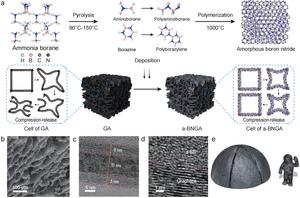 Fabrication and structure characterization of a-BNGA.