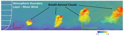 Large-Eddy Simulation Results Of The Aerosol