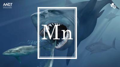 The Disappearing Spoon Author Sam Kean Takes on the Megalodon Myth