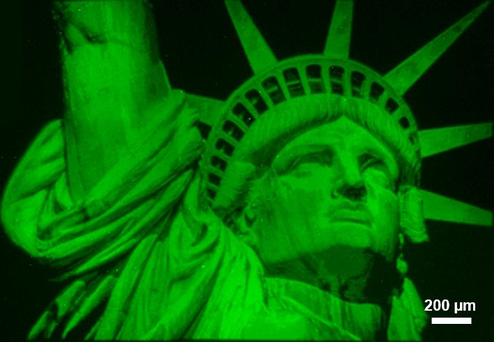 Lady Liberty Rendering Using Polymer Brush Hypersurface Photolithography