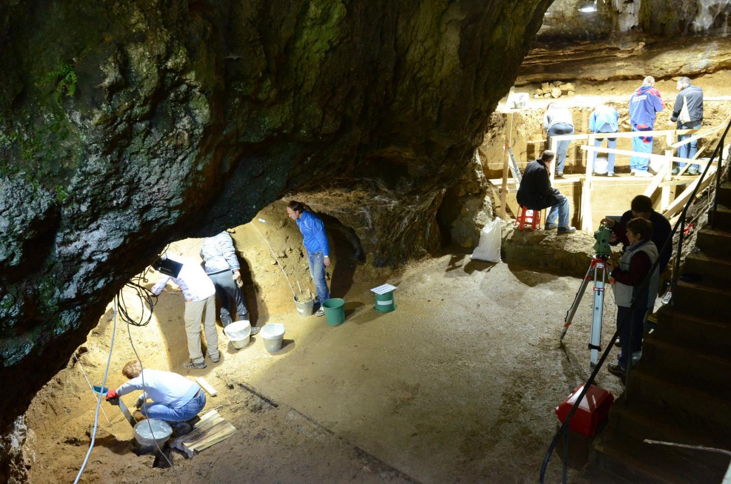 Excavations of Bacho Kiro Cave
