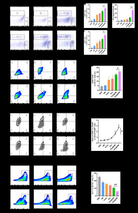 Fig. 6. The tumor immune microenvironment modulation by Oxa@HMI Gel in orthotopic colorectal cancer mice.