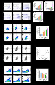 Fig. 6. The tumor immune microenvironment modulation by Oxa@HMI Gel in orthotopic colorectal cancer mice.