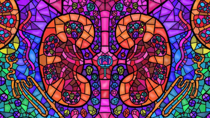 Kidney Mosaic